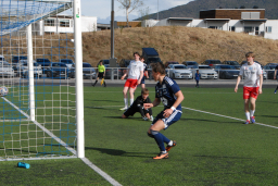 Varfjell - Kårvåg/Havørn 2025